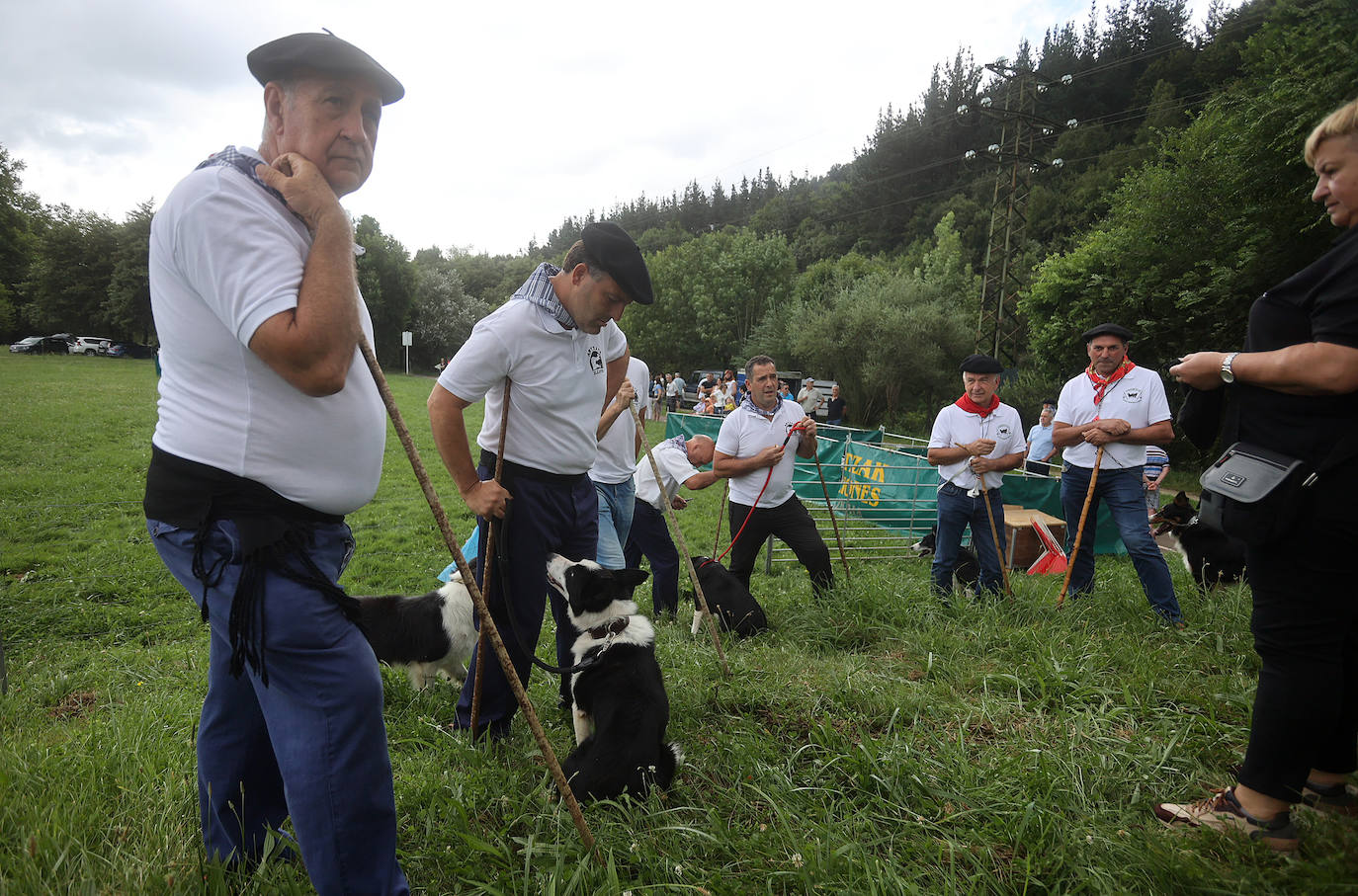 Las mejores imágenes del campeonato de perros pastor de Euskal Herria