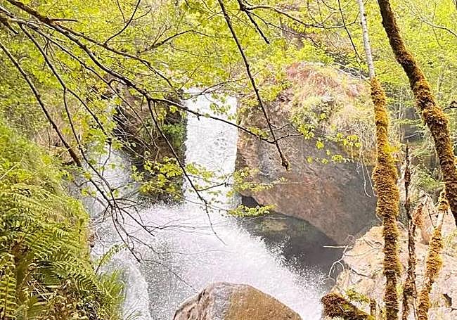 Salto de agua del río Deva.