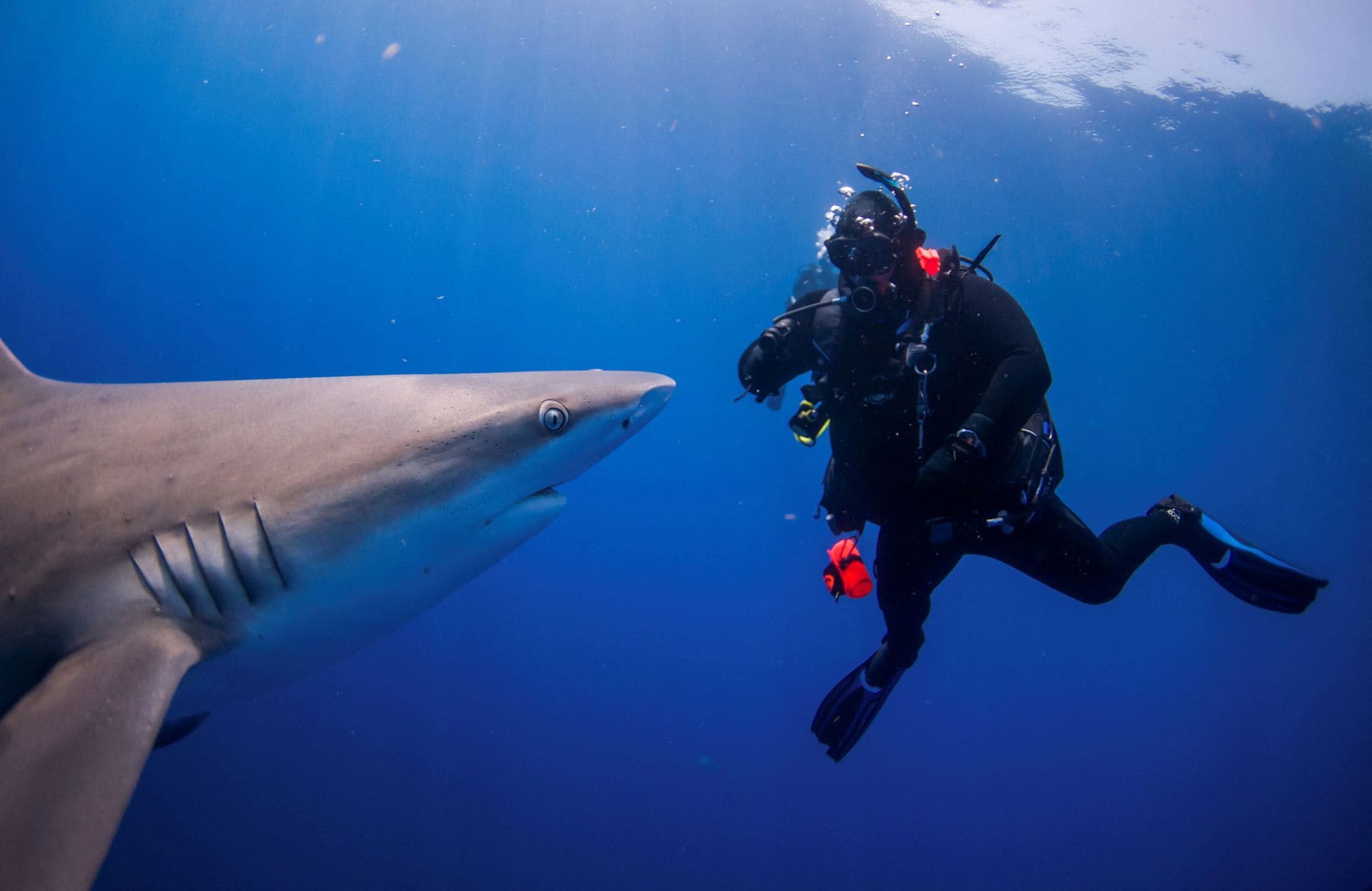 Los actores porno, una especie en peligro de extinción en Japón | El Correo