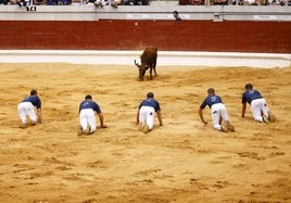 Los cinco recortadores que han mostrado su destreza en el ruedo.