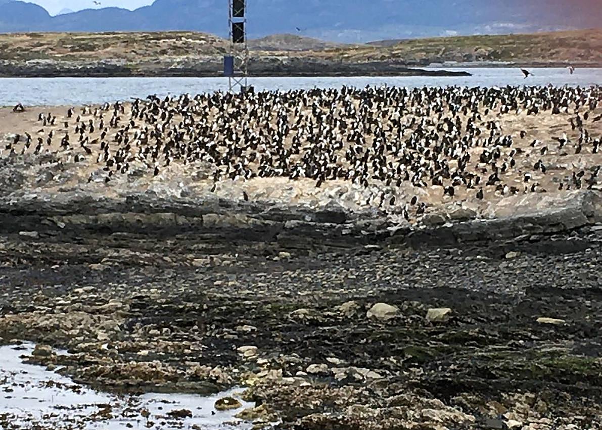 Imagen secundaria 1 - El canal Beagle y las tierras del fin del mundo