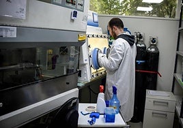 Un investigador trabaja en uno de los laboratorios del CIC Biogune.