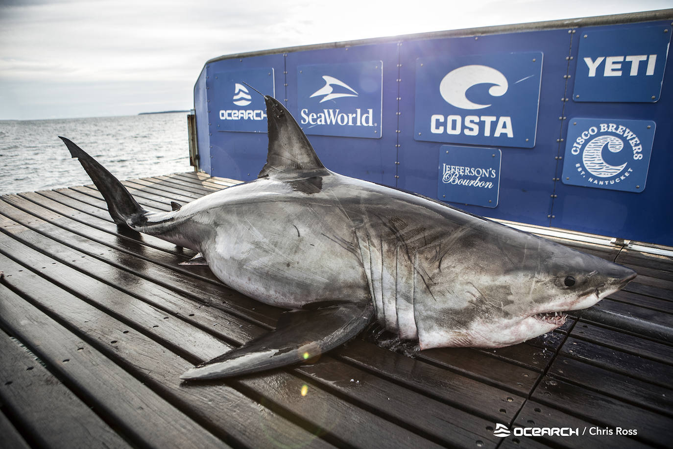 Expediciones anteriores del OCEARCH.