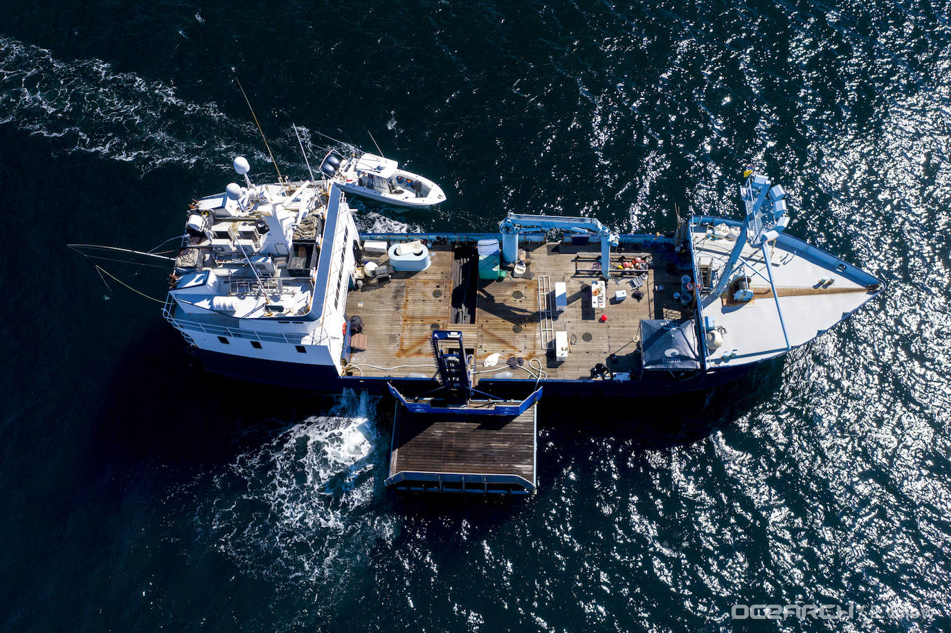 Expediciones anteriores del OCEARCH.