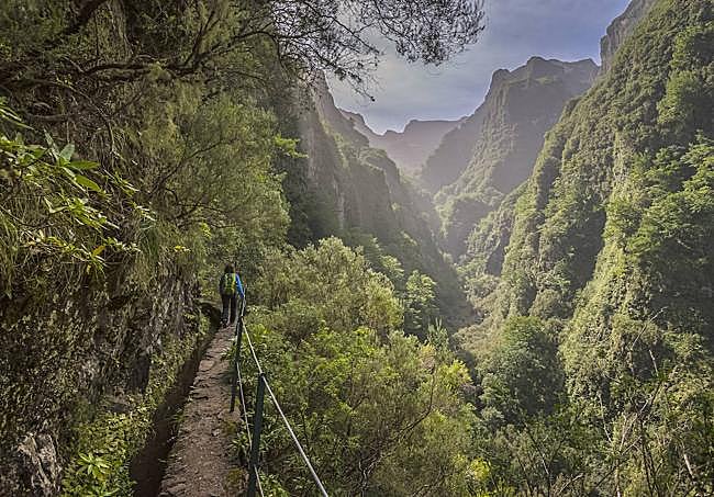 Levada do Caldeirao Verde.