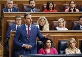 El presidente del Gobierno, Pedro Sánchez, en el Congreso.