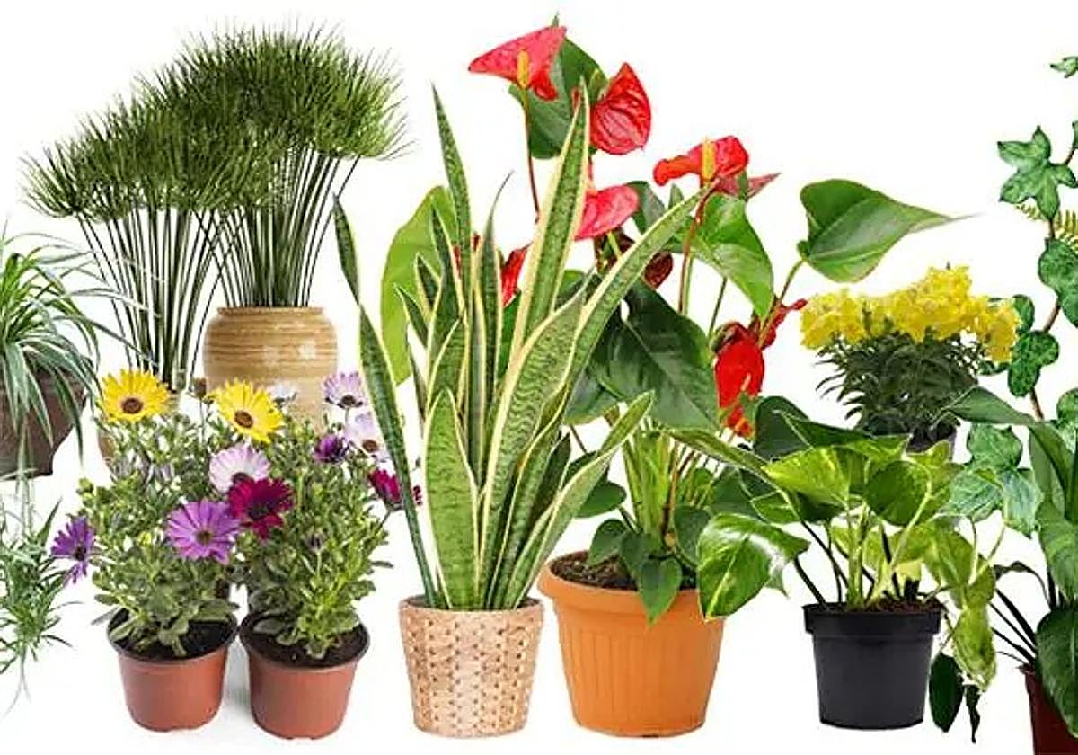 Con efecto retroactivo