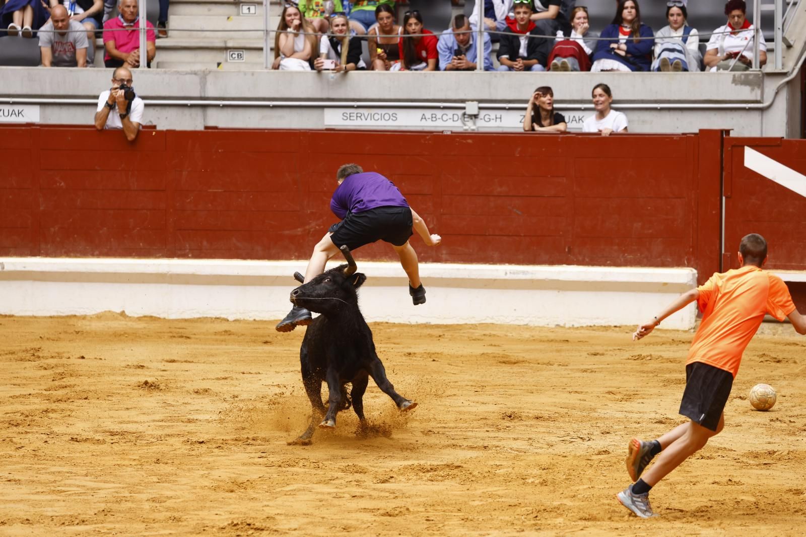 Las vaquillas en imágenes