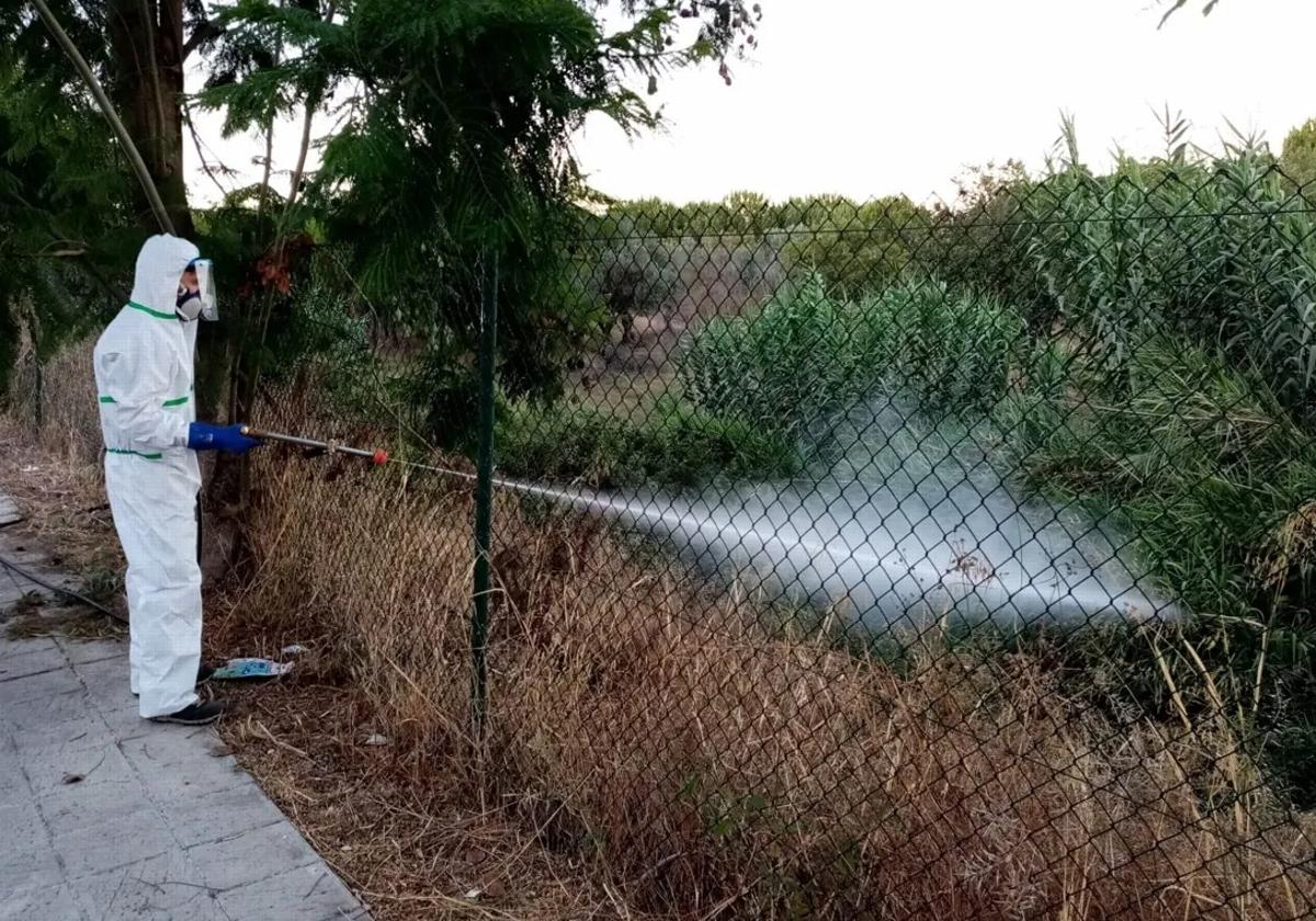 Un operario fumiga en La Puebla del Río, una de las localidades sevillanas más afectadas.