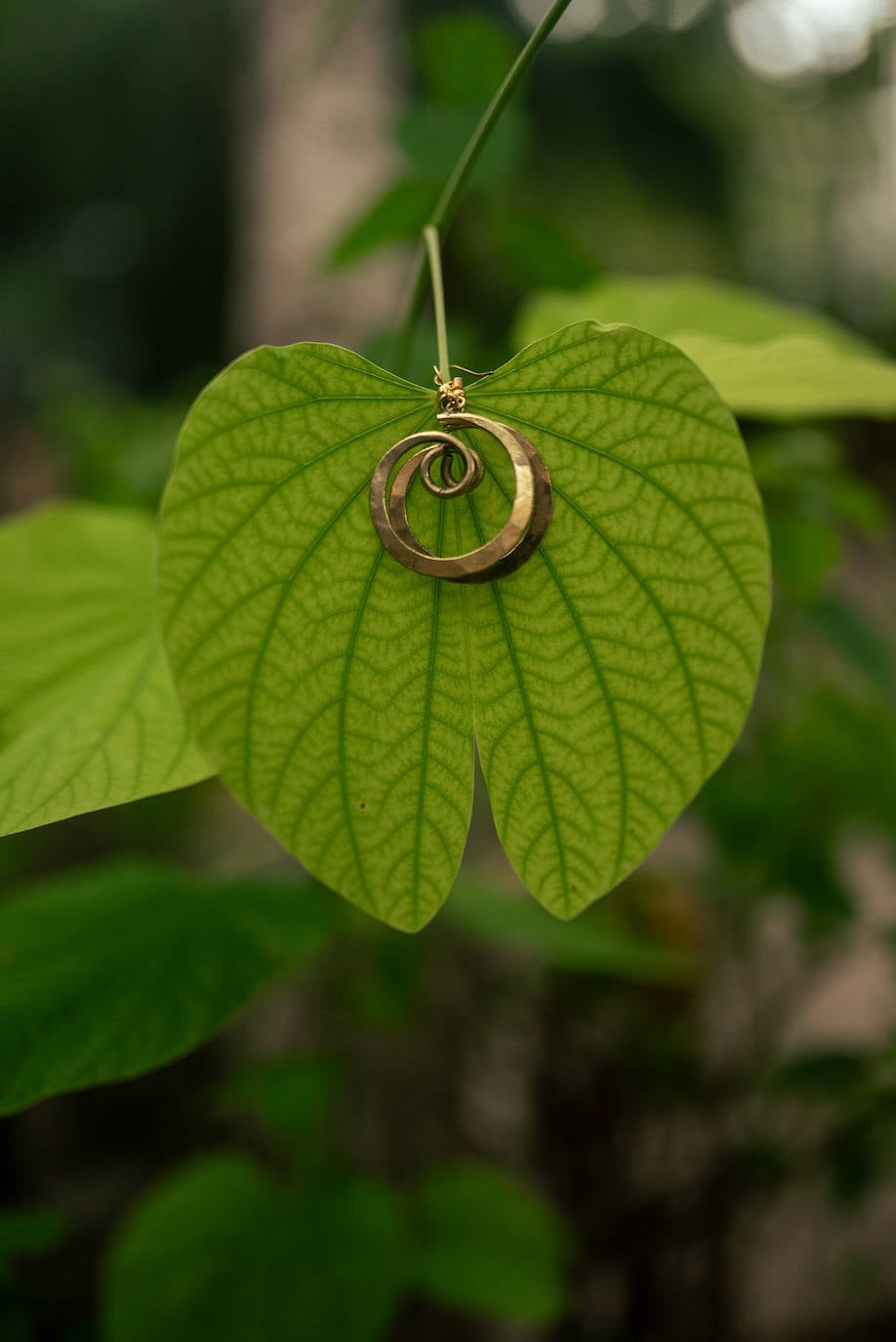 Los pendientes para ayudar a Petro, un niño con sífilis: la bonita iniciativa de esta joven bilbaína