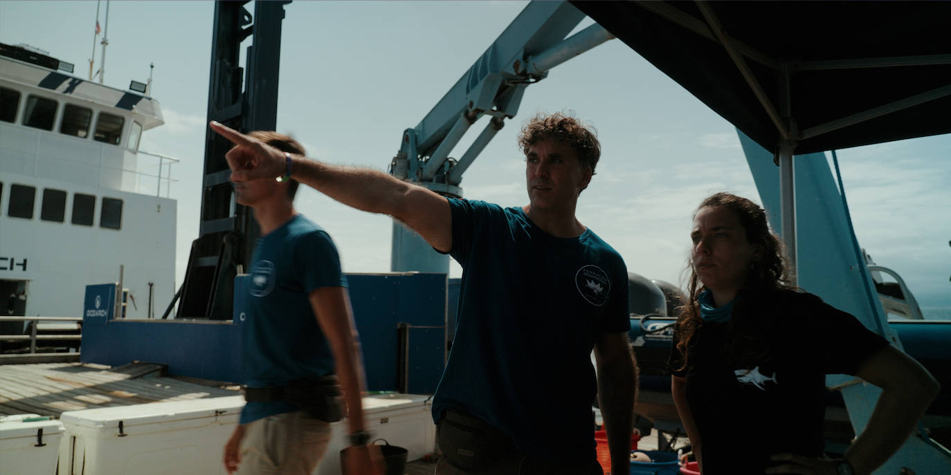 Finaliza la expedición que buscaba el tiburón blanco en el Golfo de Bizkaia