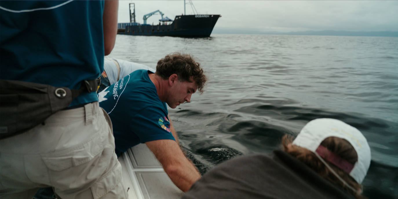 Finaliza la expedición que buscaba el tiburón blanco en el Golfo de Bizkaia