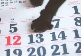 Patas de un gato negro sobre un calendario, señalando el fatídico número 13.