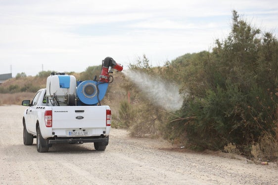 Un vehículo fumiga una zona afectada por los mosquitos en la localidad sevillana de Coria del Río.