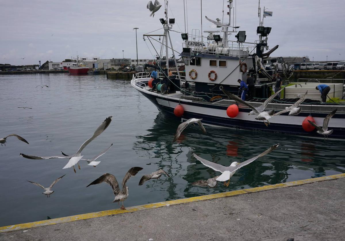 Pescadores llegando al puerto de Ondarroa.