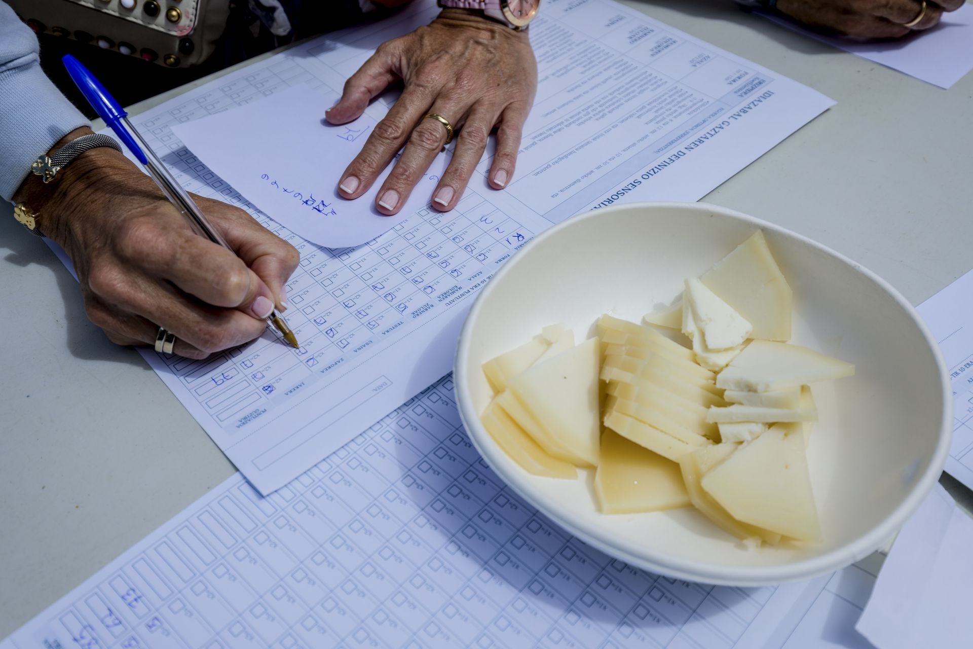 El Artzain Eguna de Araia, en imágenes