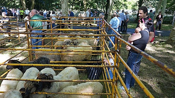 Amurrio reivindica el sector primario en la feria ganadera