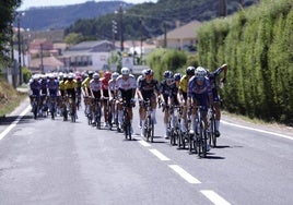 El pelotón rueda durante la segunda etapa de la Vuelta a España.