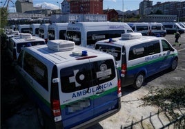 El servicio de ambulancias está conformado por 330 vehículos, de los que 242 son para servicios no urgentes.