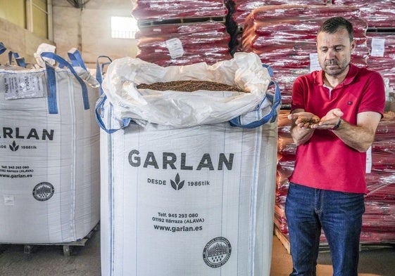 García contempla unas semillas de avena en la nave de Garlan en Ilarraza tras una cosecha «buena» que está prácticamente finalizada.