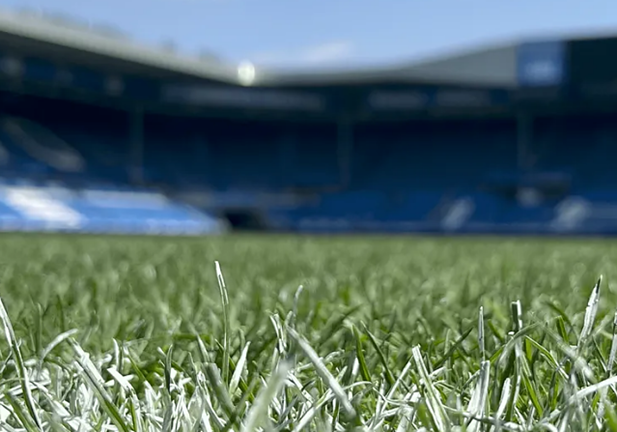 La 'alfombra verde' de Mendizorroza ya está lista.