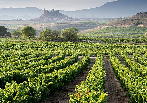'Sierra de Cantabria' convive en algunas zonas de la cordillera con 'Sierra de Toloño'.