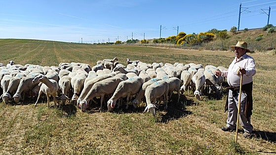 El viaje por la tierra de vinos que también permite conocer a pastores, toneleros, queseros...