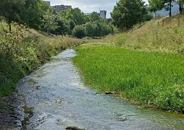 URA investiga un vertido que ha matado peces y patos en Trapagaran