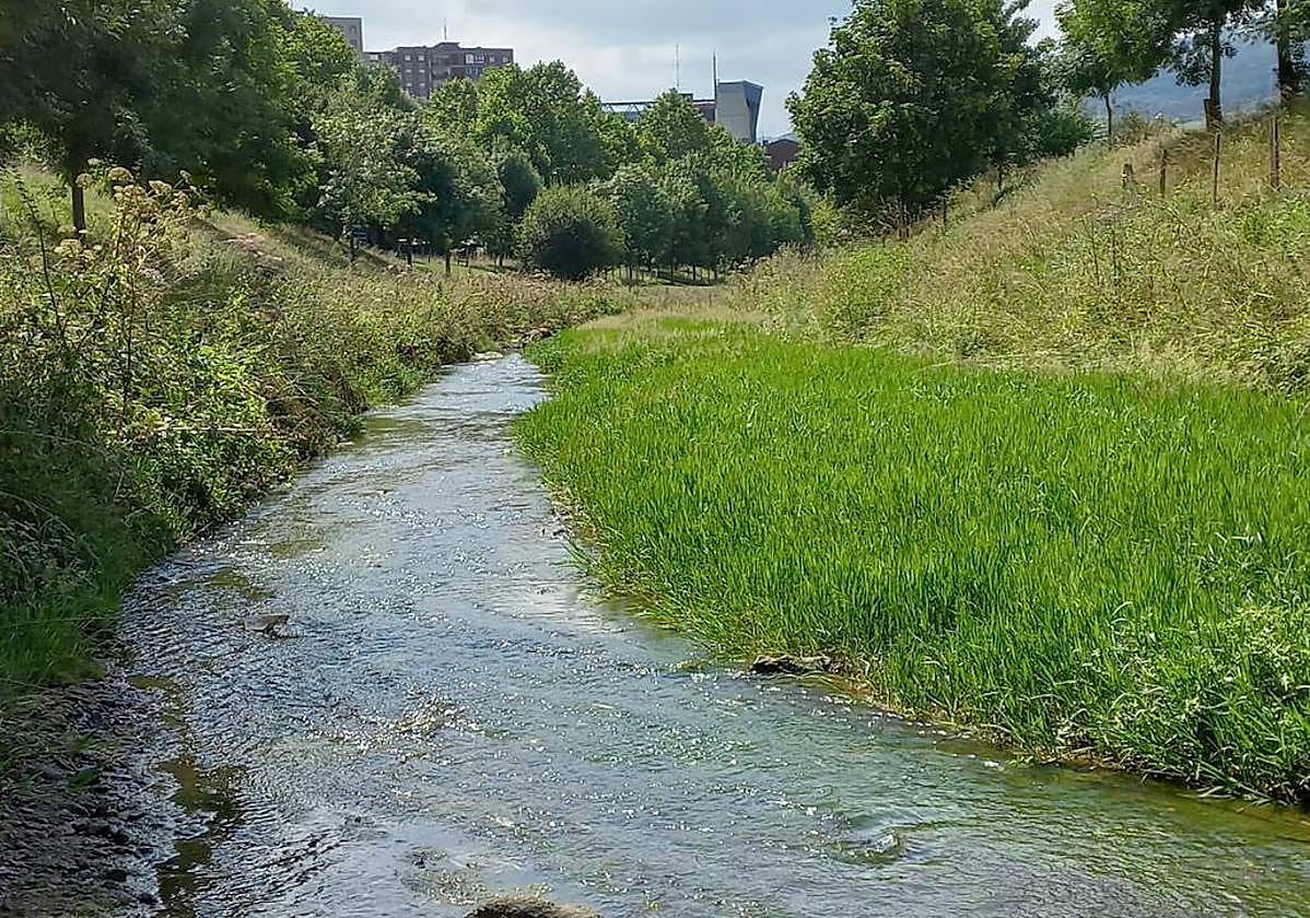 URA investiga un vertido que ha matado peces y patos en Trapagaran