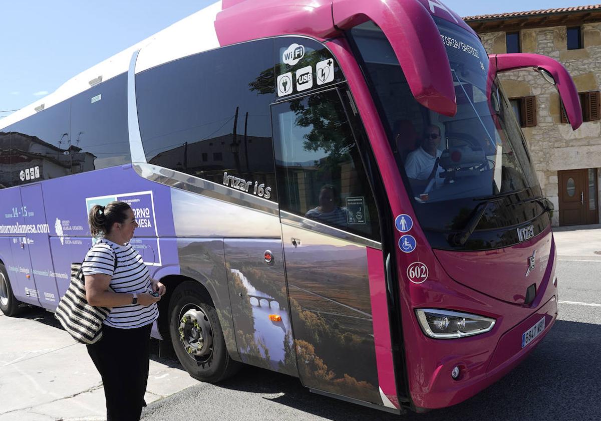 Una usuaria espera a subirse a un autobús de Alavabús.