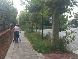 Una getxotarra pasea por la calle Leioako Etorbidea en la que la que la hierba no ha sido cortada desde primavera.