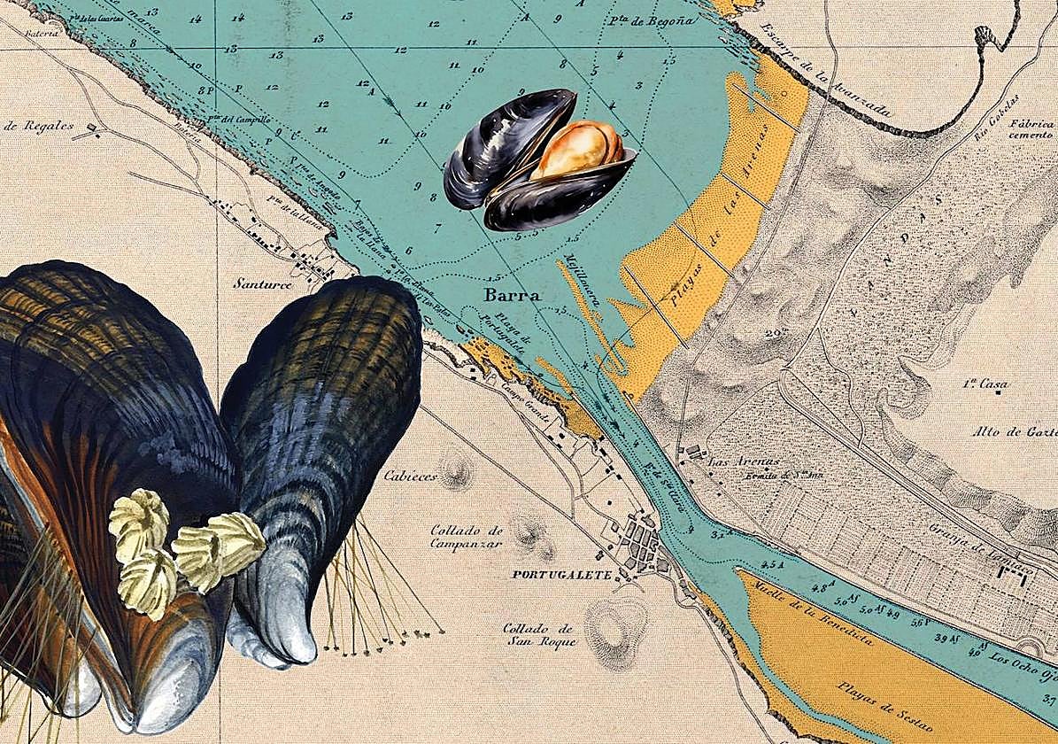 Mapa de la zona del Abra en 1874 (Biblioteca Nacional) con indicación de la mejillonera getxotarra.