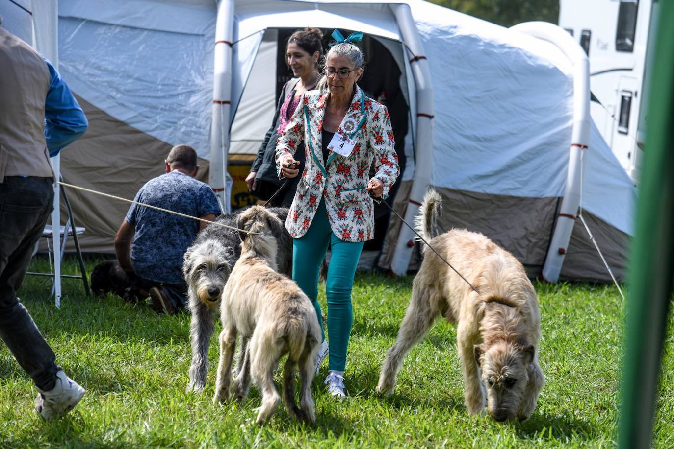 Exposición Internacional y de la Exposición Nacional Canina de Bilbao