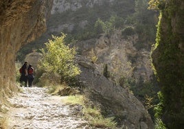 Desfiladero del río Purón.