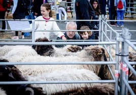 Una veintena de ganaderos exhibirán sus vacas, caballos, burros, ovejas y cabras.