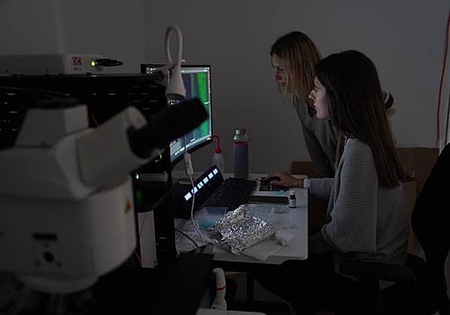 En algunos de los varios laboratorios del centro trabajan en penumbra para ver mejor los resultados del microscopio y preservar las muestras.