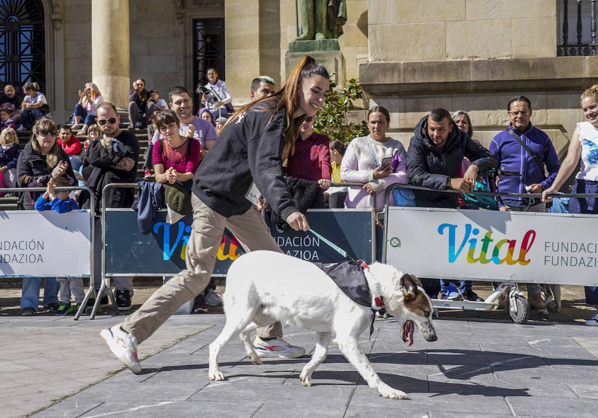 El desfile se inició pasadas las doce del mediodía de este sábado en la plaza de la Provincia y se repite este domingo.