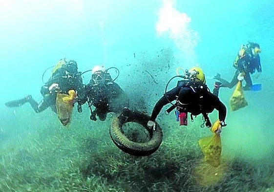 Un grupo de buceadores recoge un neumático y otros residuos del fondo del mar durante una limpieza.