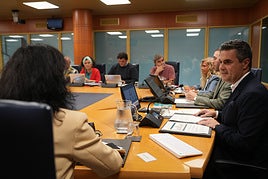 El consejero de Industria, Mikel Jauregi, en la comparecencia del Parlamento