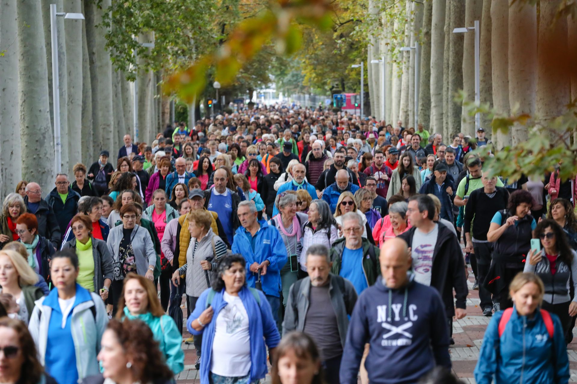 Las mejores imágenes de la XI Marcha Solidaria Green