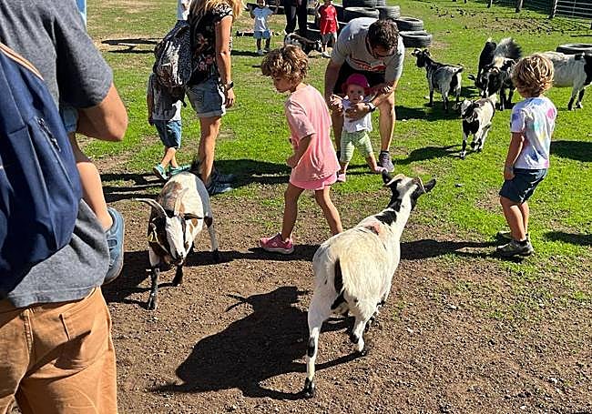 Niños se acercan a las cabras de la Granja Escuela Ultzama