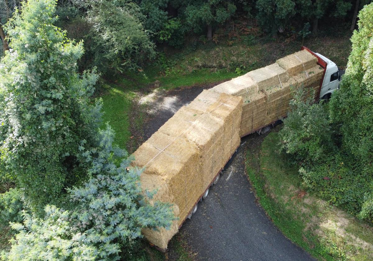 La carretera ha sido cortada temporalmente.