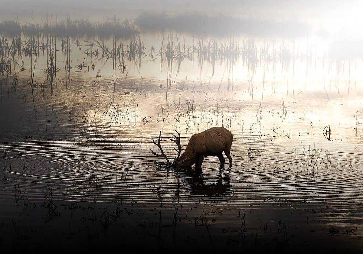 La fotografía de Natividad Castillo, ganadora del concurso 'Escenas de Álava' en la pasada edición.