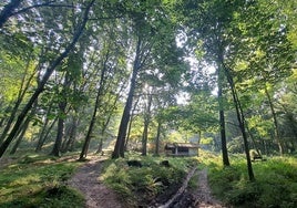 El bosque rodea al refugio de Lasturre con su riachuelo.