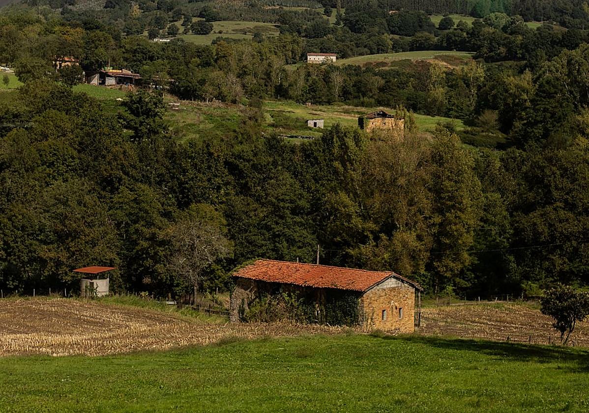 El municipio más barato para comprar casa en Bizkaia: 103.500 euros por una vivienda de 120 metros cuadrados