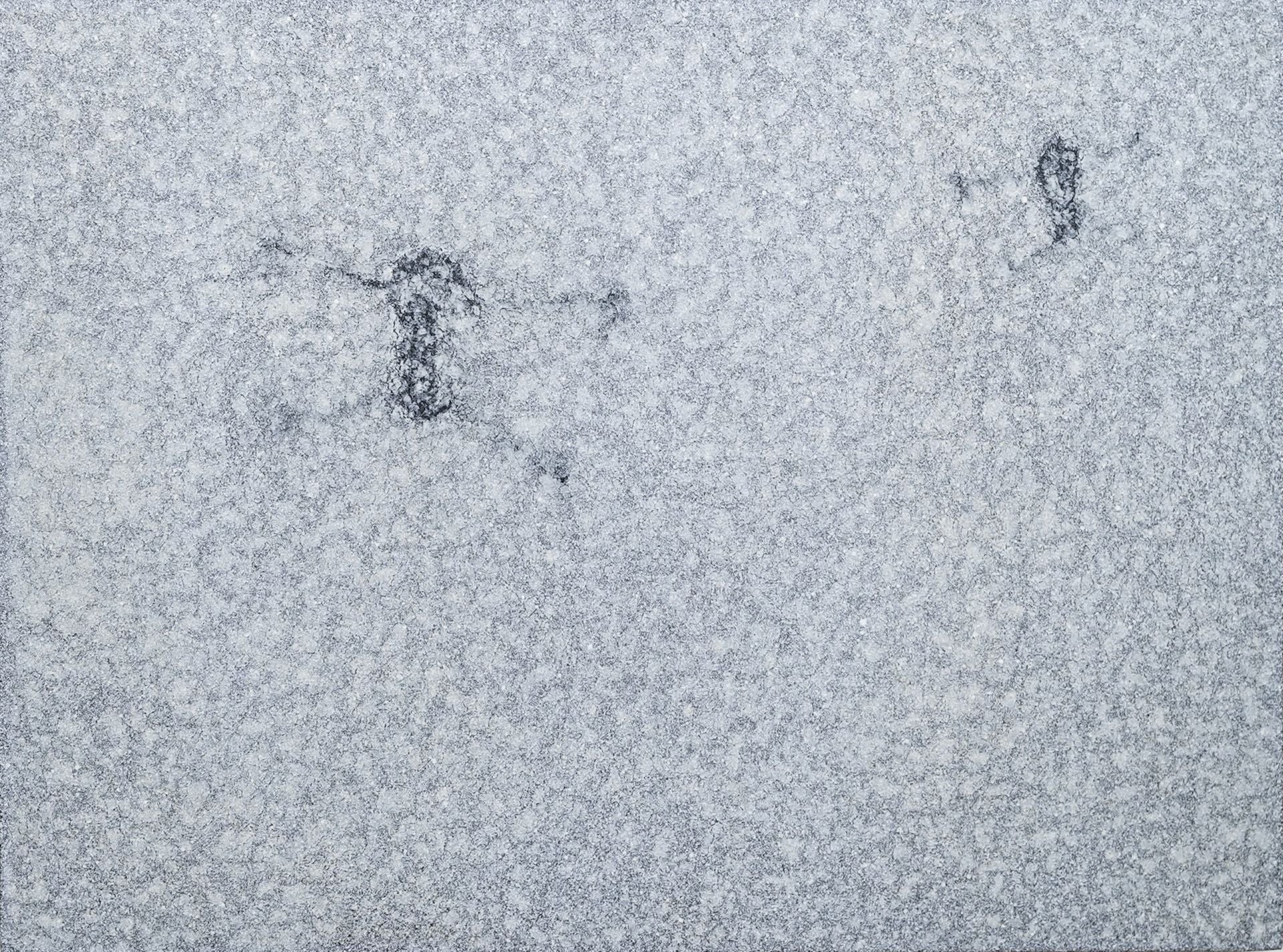 La exposición &#039;Basura espacial&#039; en Espazioa