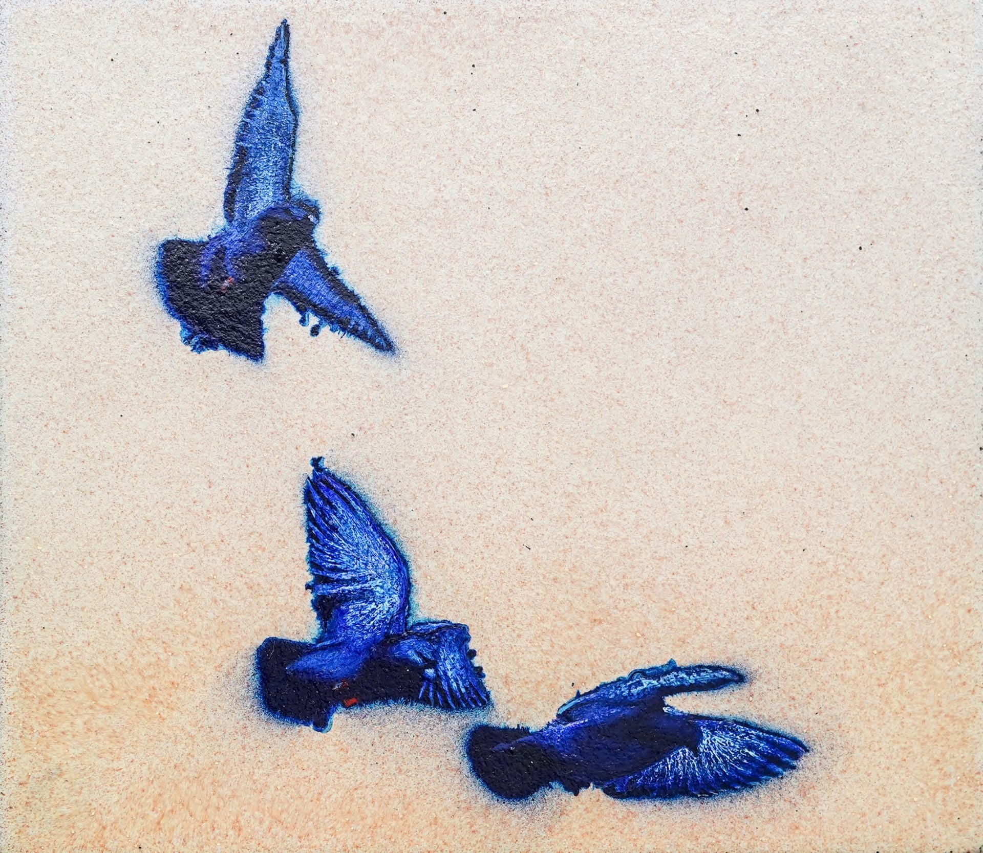 La exposición &#039;Basura espacial&#039; en Espazioa