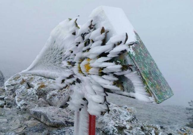 El eguzkilore desaparecido, cubierto de nieve.