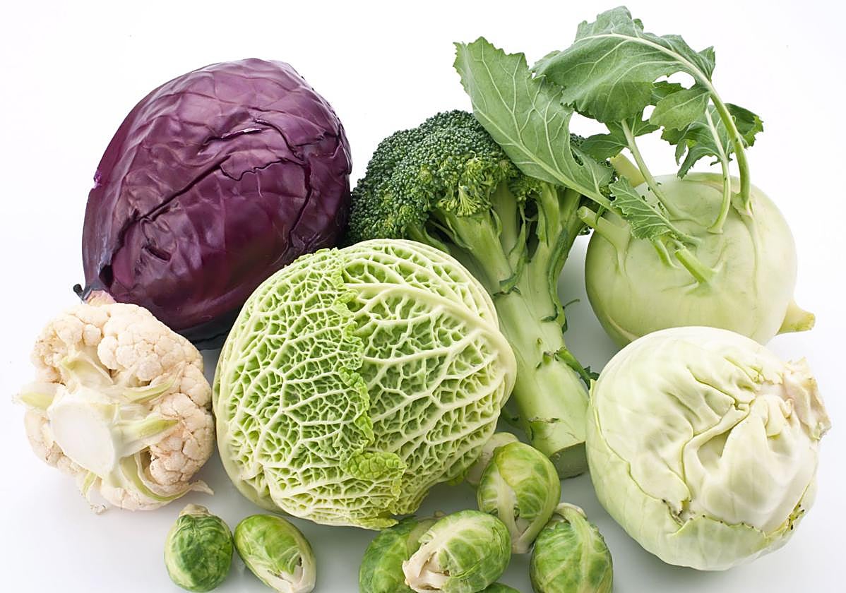 Ni kéfir ni yogur: este es el alimento antiinflamatorio y con más probióticos que casi no se consume en España