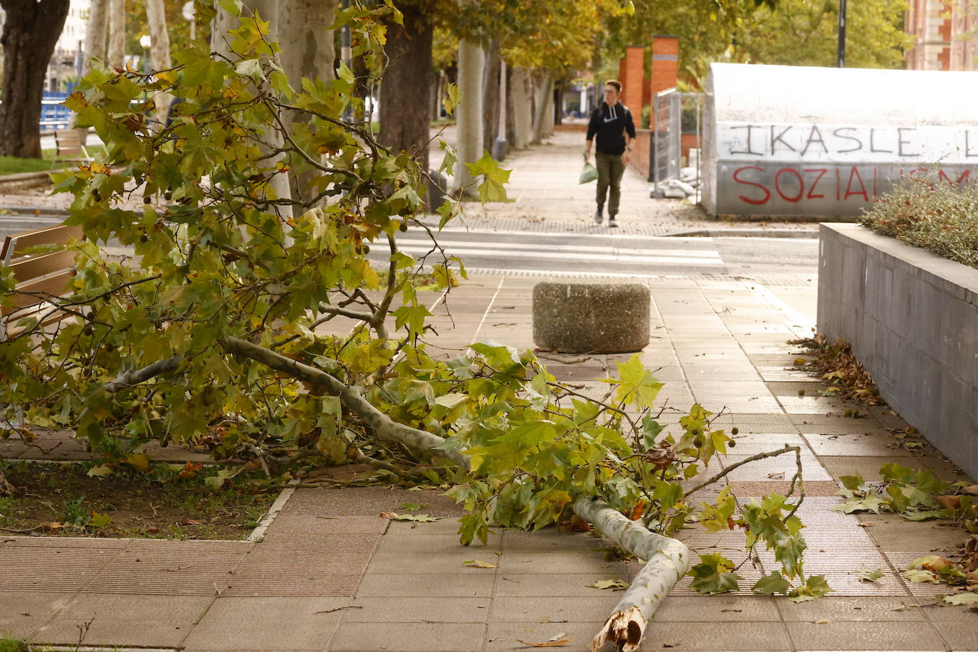 En Vitoria, el viento ha volcado y desplazado contenedores, además de romper ramas de los árboles.